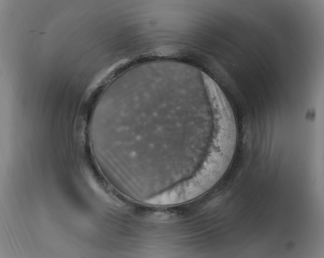 X0000113230542200910081408