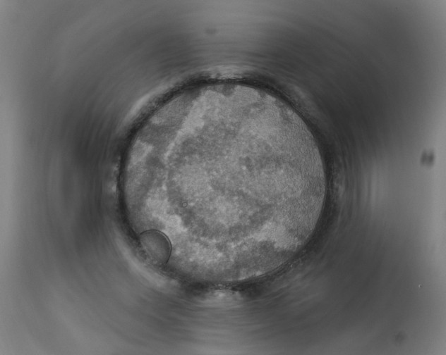 X0000113230543200910081408