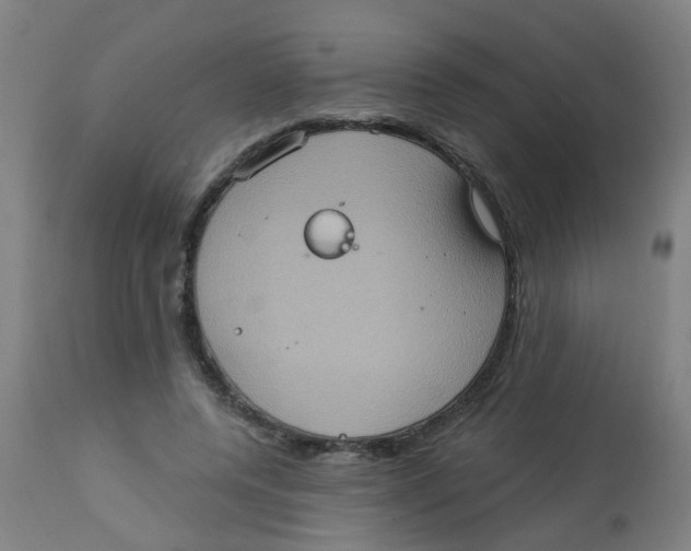 X0000113230544200910081408