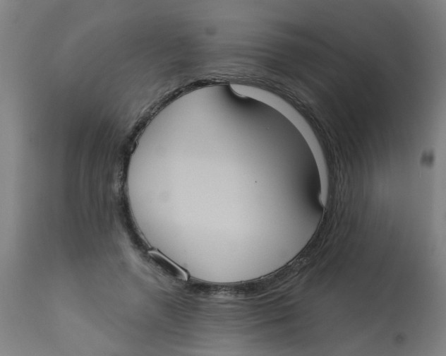 X0000113230546200910081408