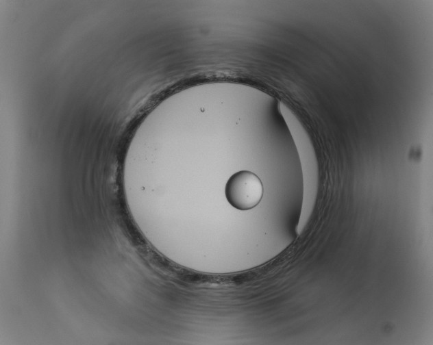 X0000113230548200910081408