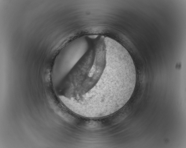 X0000113230549200910081408