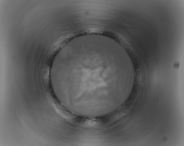 X0000113230550200910081408