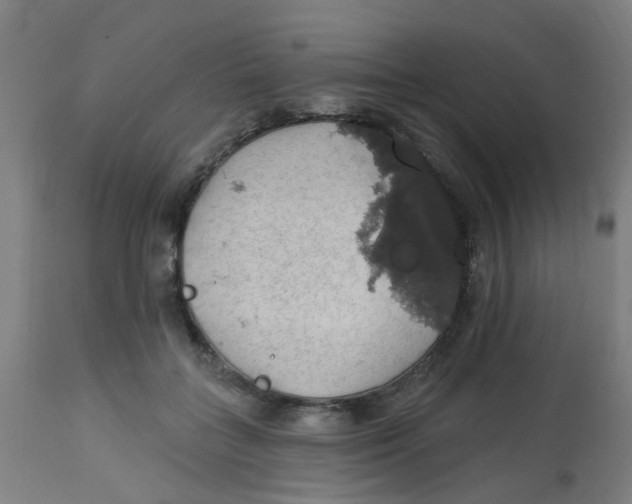 X0000113230555200910081408