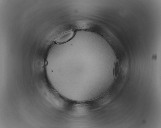 X0000113230556200910081408