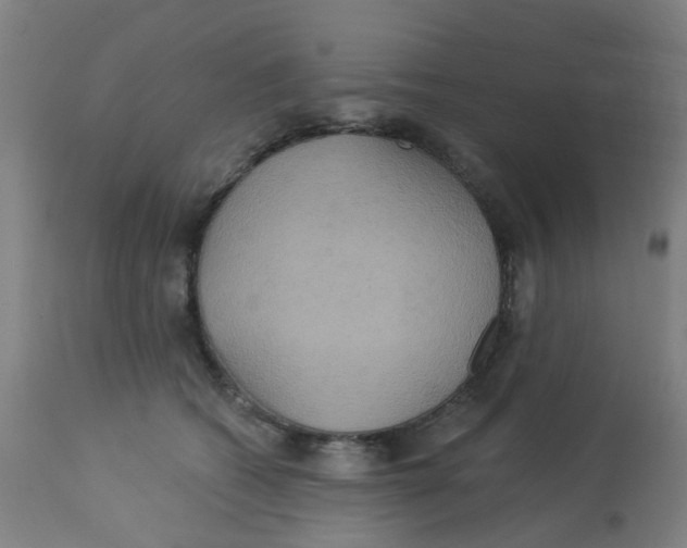 X0000113230562200910081408