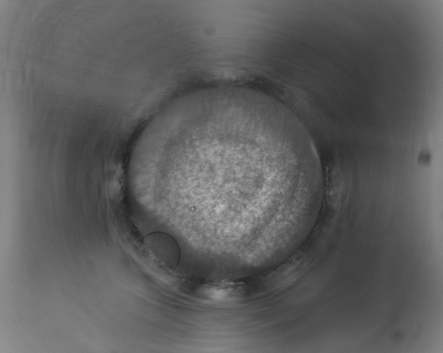 X0000113230563200910081408