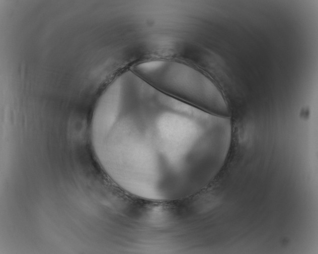 X0000113230564200910081408