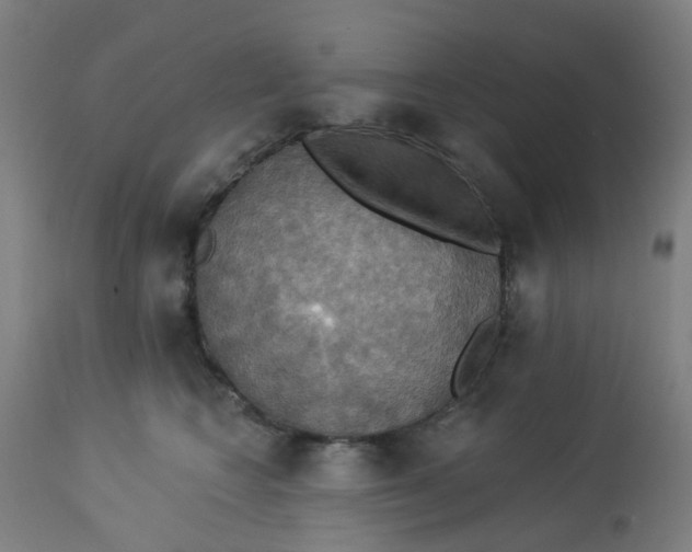 X0000113230566200910081408