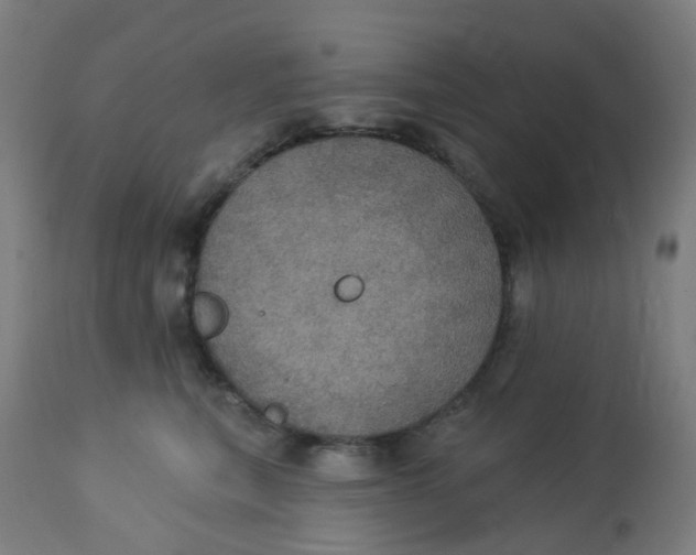 X0000113230567200910081408