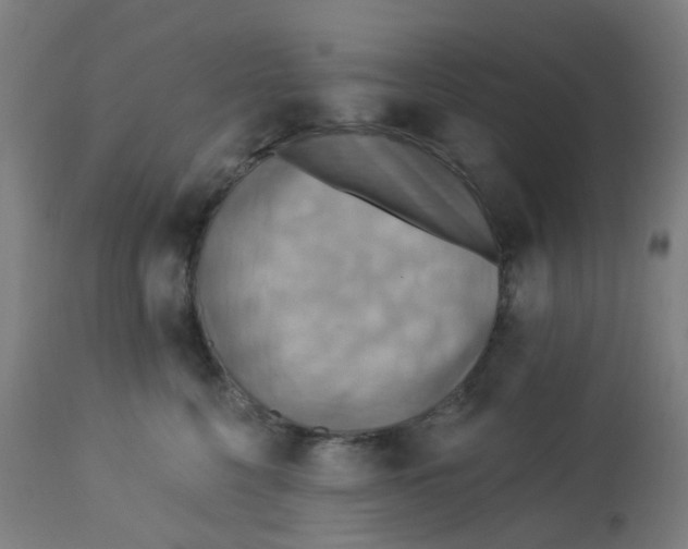 X0000113230568200910081408