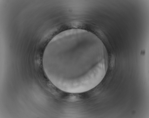 X0000113230569200910081408