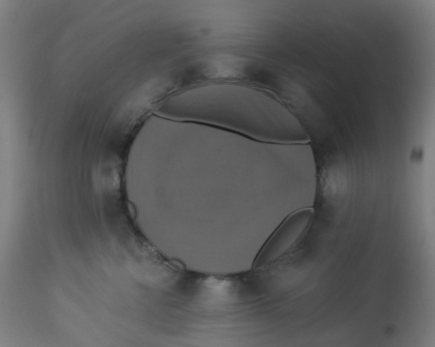 X0000113230570200910081408