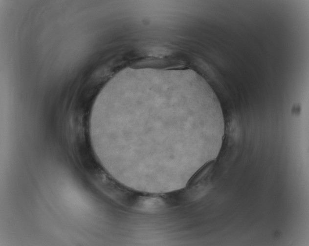 X0000113230572200910081408