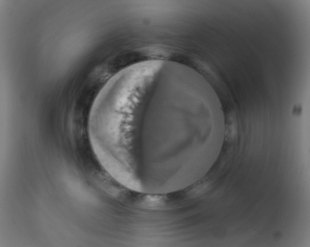 X0000113230573200910081408