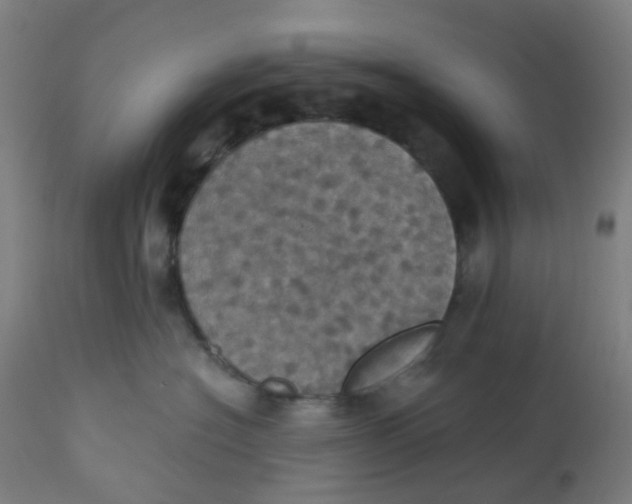 X0000113230574200910081408