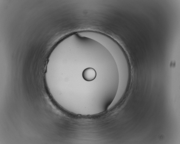 X0000113230577200910081408