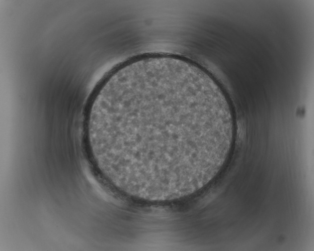 X0000113230580200910081408