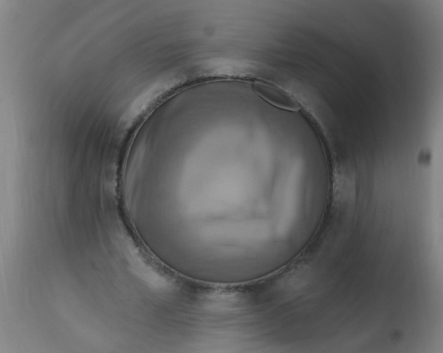 X0000113230581200910081408