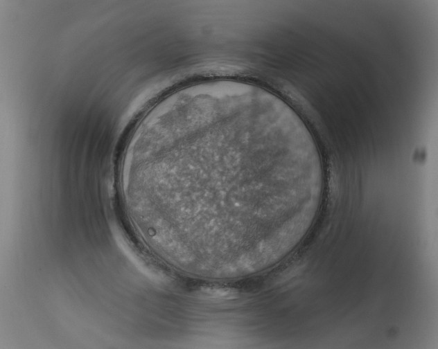 X0000113230582200910081408