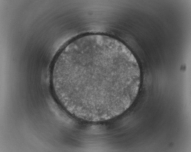 X0000113230584200910081408