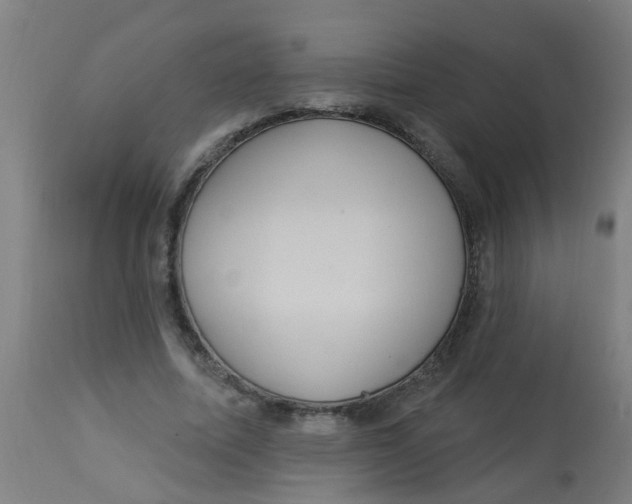 X0000113230587200910081408