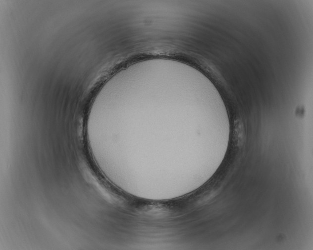 X0000113230589200910081408