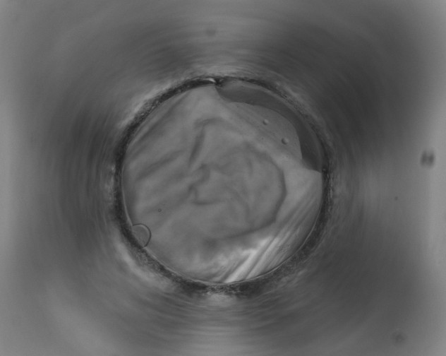 X0000113230592200910081407