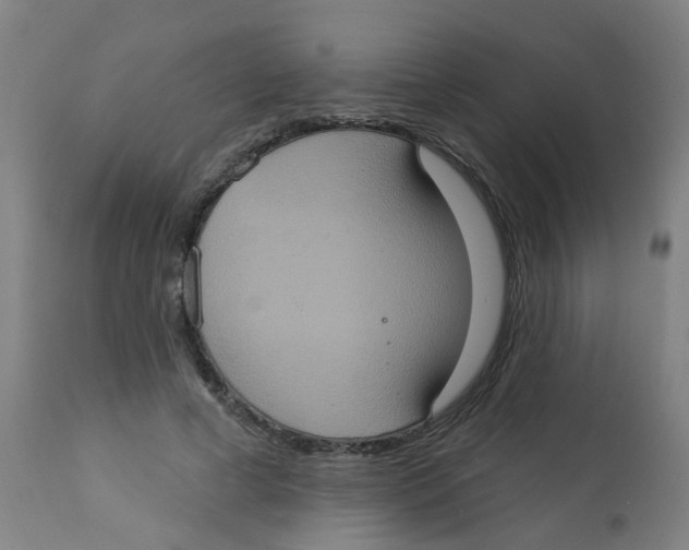 X0000113230593200910081407