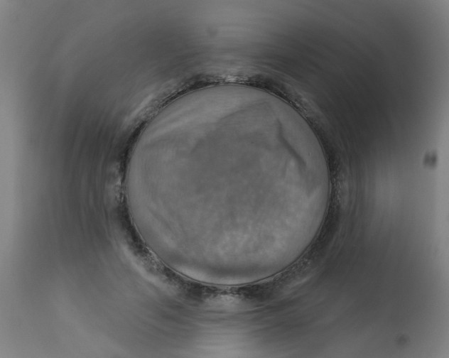 X0000113230594200910081407