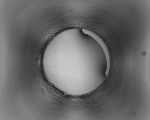 X0000113230595200910081407