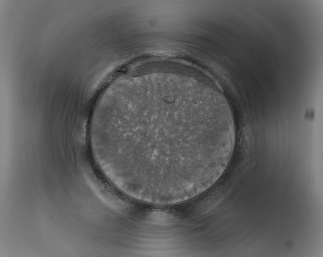 X0000113230596200910081407