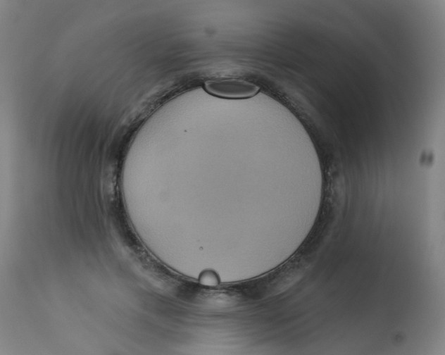 X0000113230597200910081407