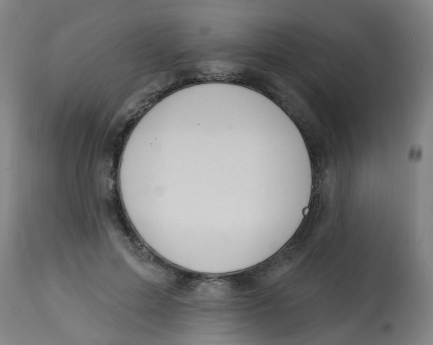 X0000113230599200910081407