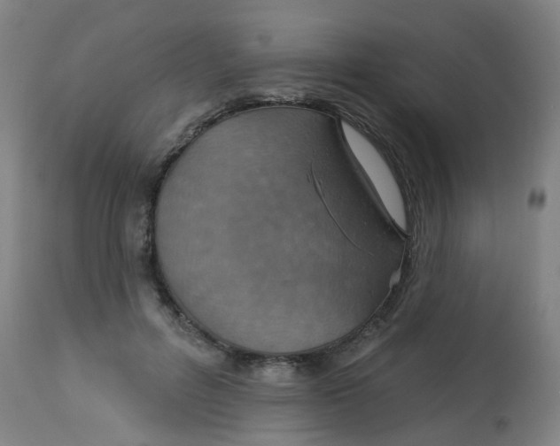 X0000113230600200910081407