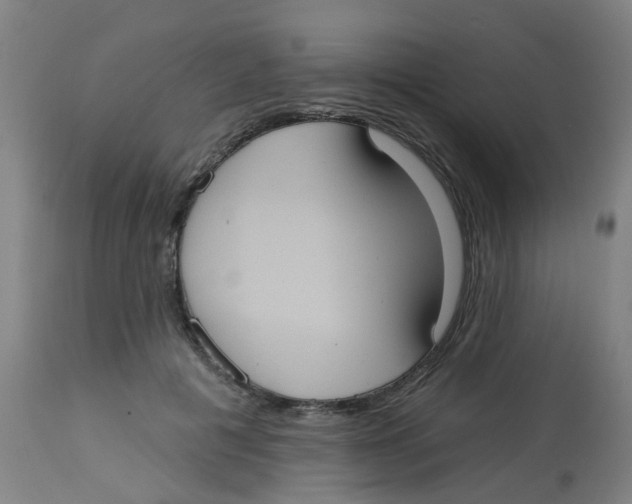 X0000113230601200910081407