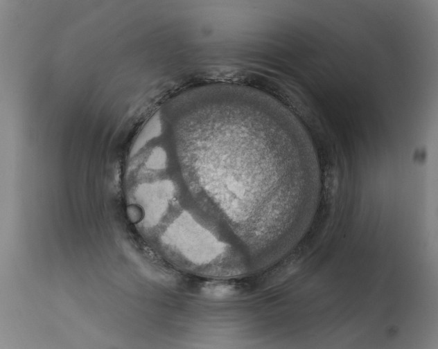 X0000113230602200910081407