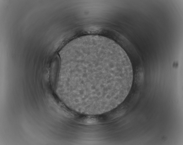 X0000113230604200910081407