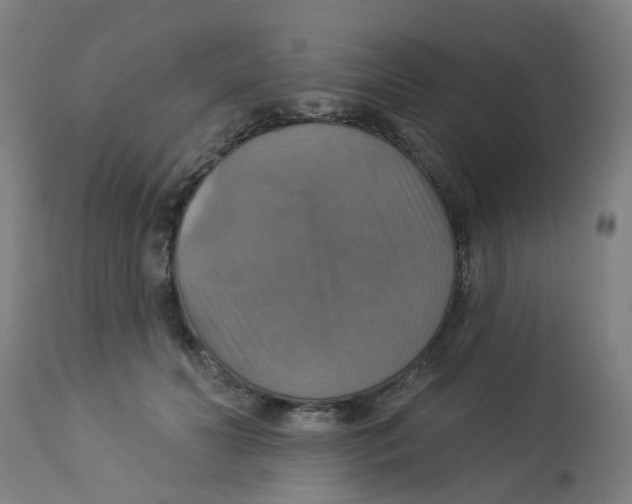 X0000113230606200910081407