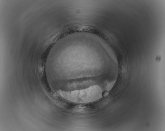 X0000113230607200910081407