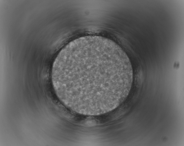 X0000113230608200910081407