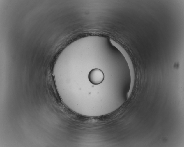 X0000113230609200910081407