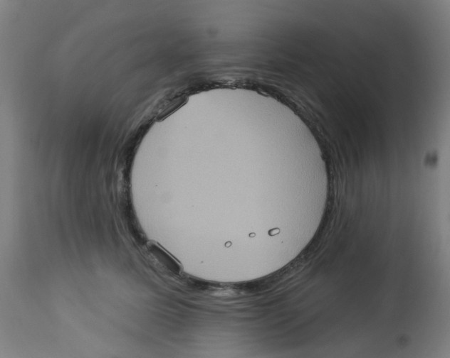 X0000113230611200910081407