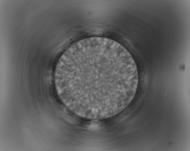 X0000113230612200910081407