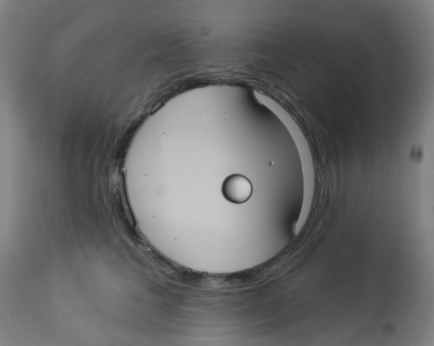 X0000113230613200910081407