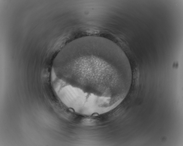 X0000113230614200910081407