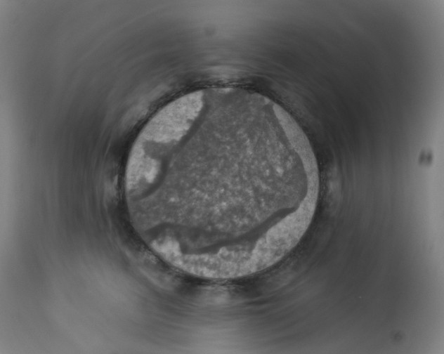 X0000113230615200910081407