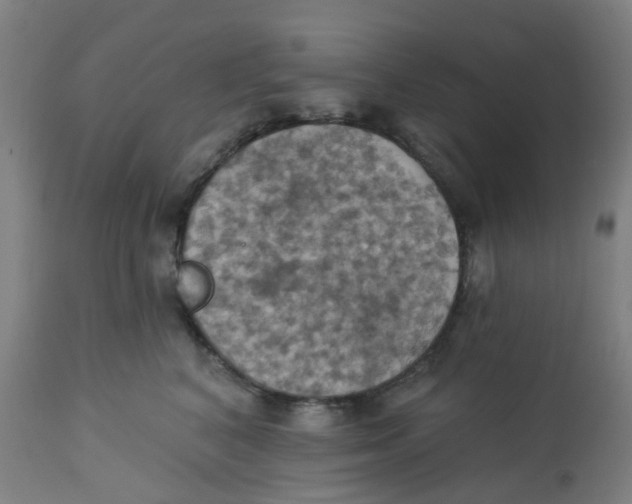 X0000113230616200910081407