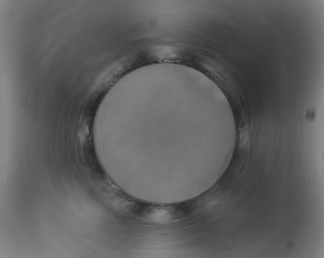 X0000113230618200910081407