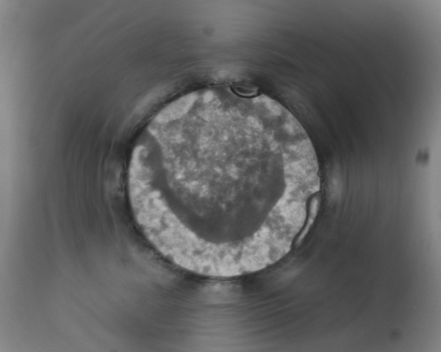 X0000113230619200910081407